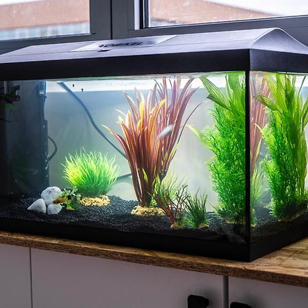 Studio Chaleureux Avec Aquarium Apartment Marcq-en-Baroeul Ngoại thất bức ảnh